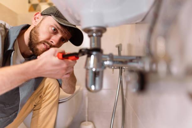 Best Water Filtration System Installation  in Williamston, MI